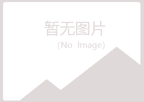 钦州夏岚计算机有限公司